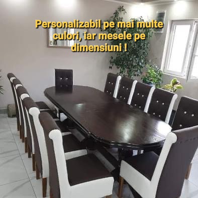 Poze SET DEN 5 MASA FIXA + 12 SCAUNE