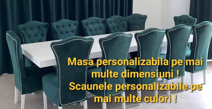 Poze SET DEN 14 MASA FIXA + 12 SCAUNE